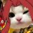 猫猫在此