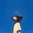墨烟清絮