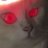 Jack的猫