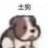 丛林土狗
