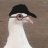 A鸽pigeon
