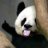 阳光下的阴霾