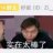 本人无言党