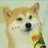 PL藥君