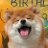 eternalsunlight