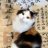 李mmqq