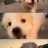 俞千禧