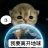 沈星回好好吃饭