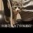 对白孑孓