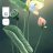 4096games