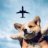 DogStudio