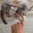 猫不喝拿铁