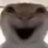 Zwwwwwwwtgf