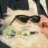 猫猫玉子酱