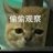 天宇来也