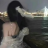 雯雯慧
