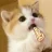 qowksiwshhd