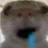 3442321956