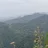 东冲恋