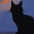 猫腻666