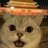 云骁龙