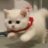 背着小猫跑