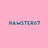 Hamster67