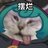 摆烂摆中摆
