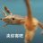 掌缘生灭