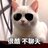 寒江独钓