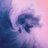 koala11297
