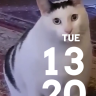 huh猫表盘